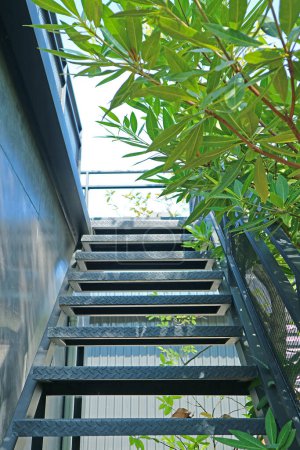Escaliers métalliques d'accès de toit vides parmi le feuillage vert