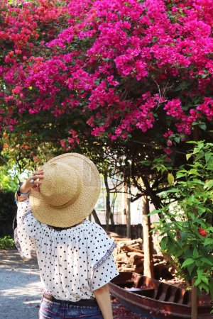 Woman Being Impressed by a Flowering Hot Pink Bougainvillea Glabra Tree