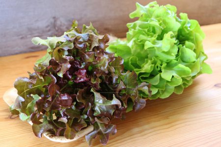 Ein Bündel roter und grüner Eichensalate auf dem Küchentisch
