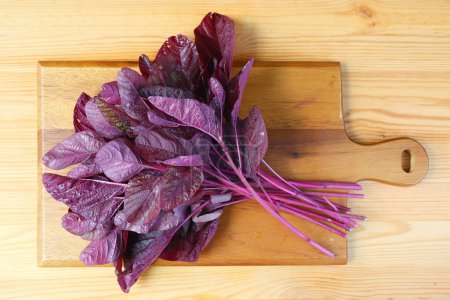 Bunch of Fresh Organic Amaranthus Dubius or Red Spinach on Wooden Chopping Board