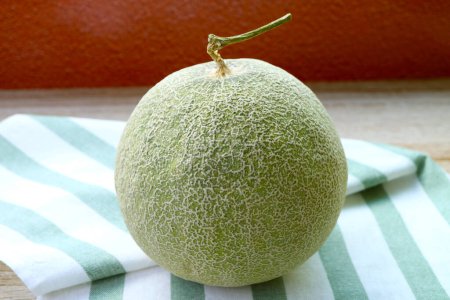 Frische reife Muskatmelone oder Cantaloupe Melone Obst isoliert auf gestreiftem Geschirrtuch