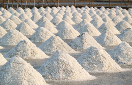 Pilas de sal marina cosechadas que se dejan secar al sol durante días en la mina de sal en la provincia de Petchaburi, Tailandia
