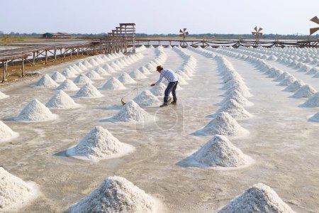 Hombre en el extenso molde de sal durante la temporada de cosecha, provincia de Samut Sakhon de Tailandia