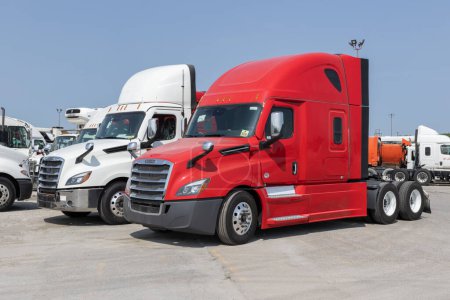 Foto de Indianápolis - 1 de agosto de 2023: Freightliner Semi Tractor Trailer Trucks alineados para la venta. Freightliner es propiedad de Daimler Trucks. - Imagen libre de derechos