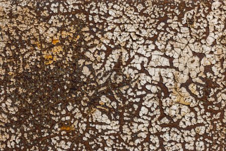 Photo for Old dirty rusted grungy flaked and cracked paint on rusted metal for background or text clipping mask. - Royalty Free Image