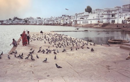 Téléchargez les photos : 13 avril 2008, Pushkar, Inde - Le lac effrayé de Pushkar avec des gens et des oiseaux sur la jetée et des habitations en arrière-plan - en image libre de droit
