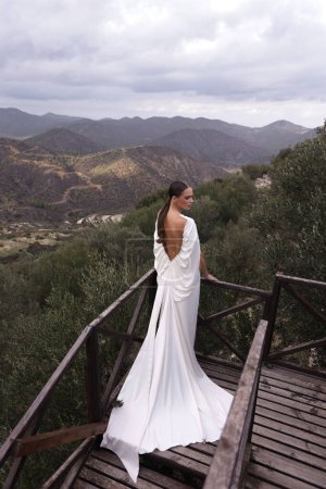 Photo for Fashion outdoor photo of beautiful woman with dark hair in luxurious wedding dress with jewelry posing in beautiful nature place Lefkara, with mountains in the background - Royalty Free Image