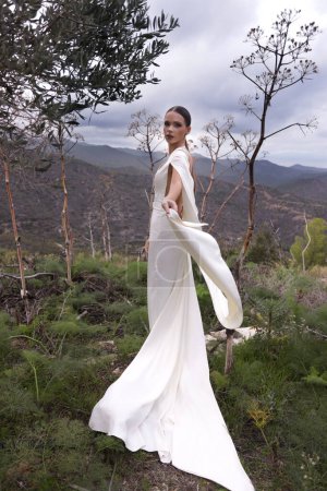 Téléchargez les photos : Mode photo en plein air de belle femme aux cheveux foncés dans une robe de mariée luxueuse avec des bijoux posant dans un bel endroit de la nature Lefkara, avec des montagnes en arrière-plan - en image libre de droit