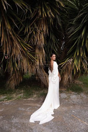 Téléchargez les photos : Photo de mode en plein air de belle femme aux cheveux foncés dans une robe de mariée luxueuse avec des bijoux posant dans un bel endroit de la nature Lefkara, avec un palmier en arrière-plan - en image libre de droit