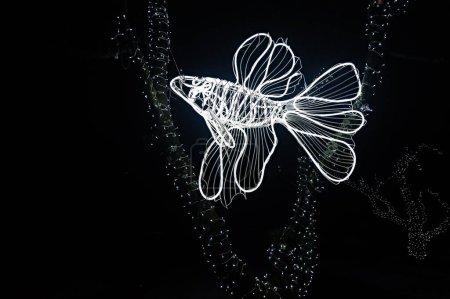 Téléchargez les photos : Grande silhouette lumineuse de poisson blanc décoration extérieure - en image libre de droit