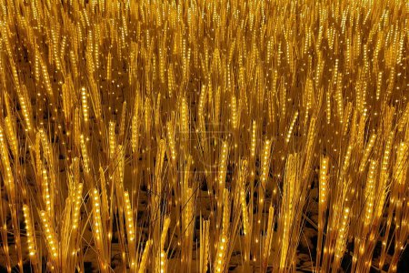 Téléchargez les photos : Champs électriques d'or, blé néon - en image libre de droit