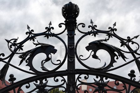 Téléchargez les photos : Haut de la clôture de la rue avec des dragons - en image libre de droit