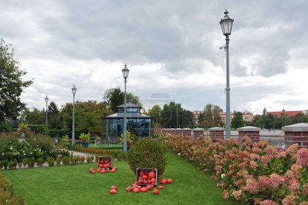 Téléchargez les photos : Parc Wroclaw aux citrouilles en Pologne - en image libre de droit