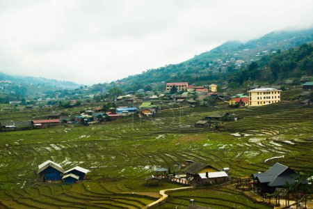 Photo for Rice terrace in Sapa, North Vietnam - Royalty Free Image