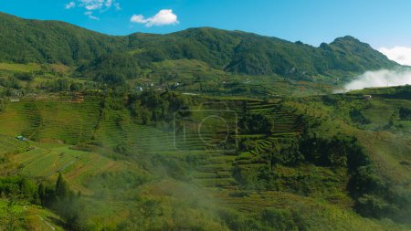 Photo for Scene of rice field terraces in Sapa, Vietnam - Royalty Free Image