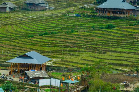 Photo for Village and Rice field terraces in Sapa, Vietnam - Royalty Free Image