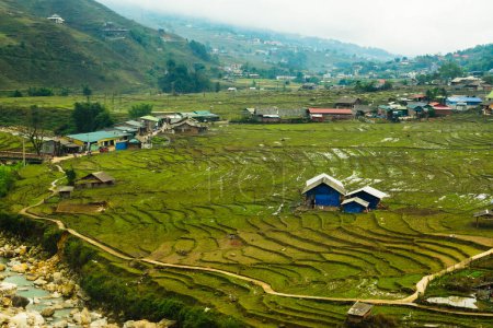 Photo for Landscape terraced rice field near Sapa, north Vietnam - Royalty Free Image