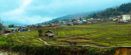 Photo for View of Sapa village, Rice terraces, - Royalty Free Image