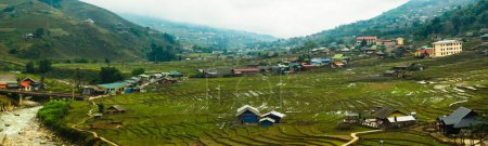 Photo for Rice terrace in Sapa, Vietnam - Royalty Free Image