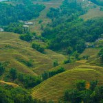 The Rice field terraces in Sapa, Vietnam