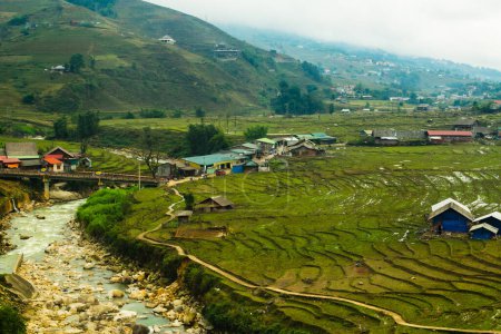 Photo for Rice terrace in Sapa, Northern Vietnam - Royalty Free Image