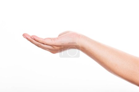 Téléchargez les photos : Femme main ouverte isolée sur fond blanc - en image libre de droit