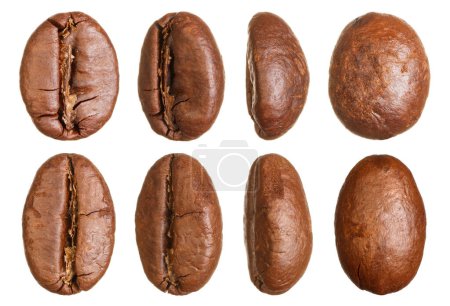 Photo for Coffee beans isolated on white background - Royalty Free Image