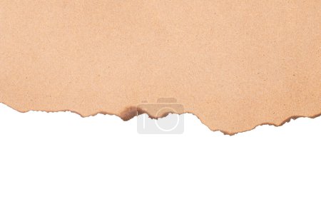 Photo for Burn brown paper half isolated on white background with clipping path - Royalty Free Image
