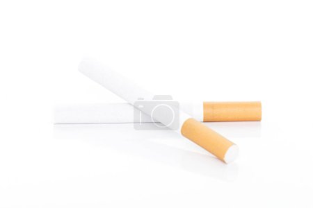 Téléchargez les photos : Gros plan d'une cigarette fumante sur fond blanc, Cigarette, tabac en rouleau papier avec tube filtre - en image libre de droit