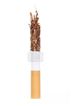 Foto de El cigarrillo aislado sobre un fondo blanco - Imagen libre de derechos