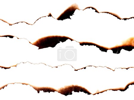 Photo for Paper burned isolated on white background with clipping path - Royalty Free Image