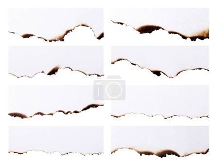 Photo for White paper burned half isolated on white background with clipping path - Royalty Free Image