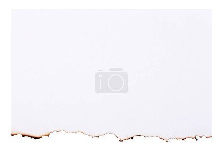 Photo for White paper burned half isolated on white background with clipping path - Royalty Free Image