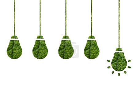 Gesundheitskonzept. Grüne Energie. Glühbirnen aus grünem Blatt auf weißem Hintergrund. Nachhaltiges Klima