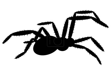 Schwarze Spinne Symbol isoliert auf weißem Hintergrund