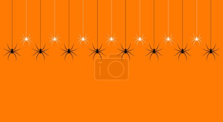halloween, spider, background, vector, web, pattern, helloween, transparent, border, spiderweb, spooky, illustration, hanging, insect, phobia, isolated, white, scary, cobweb, seamless, creepy, fear, horror, black, bug, animal, widow, realistic, bite,