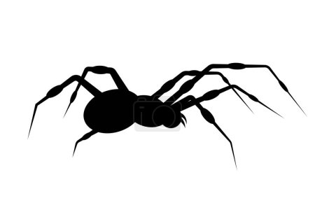 Schwarze Spinne Symbol isoliert auf weißem Hintergrund