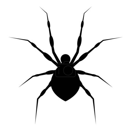 Icône d'araignée noire isolée sur fond blanc