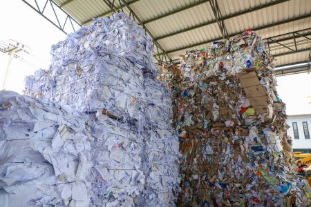 Téléchargez les photos : Nakhon Ratchasima - 6 octobre 2023 Balles de carton et de carton boîte avec des attaches de fil de cerclage avant le déchiquetage à l'usine de recyclage. - en image libre de droit