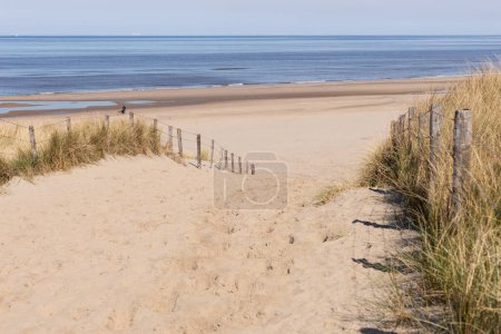 Téléchargez les photos : Entrée de la plage par les dunes de sable de Noordwijk. Pays Bas - en image libre de droit