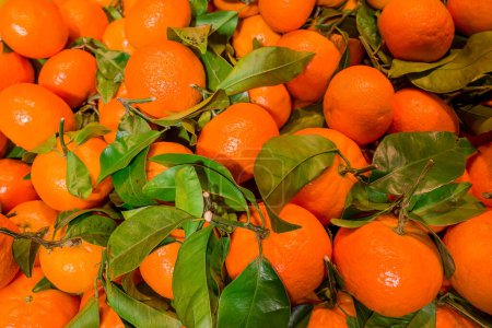 Téléchargez les photos : Cadre complet de mandarines dans des caisses en bois, prêt à la vente - en image libre de droit