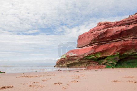 Foto per Sandstone cliffs of Exmouth beach,England.UK. - Immagine Royalty Free