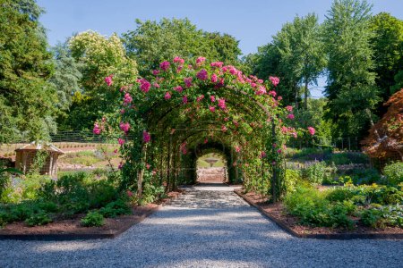 Photo for Formal rose garden with arching trellises - Royalty Free Image