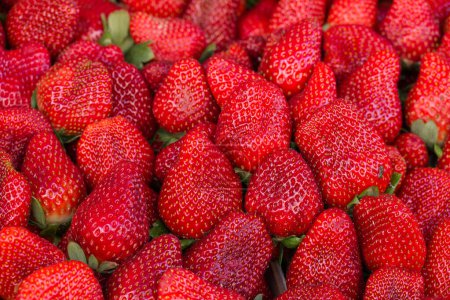 Ein Bündel frischer Sommer-Erdbeeren