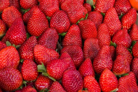 Ein Bündel frischer Sommer-Erdbeeren