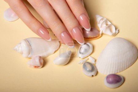 Téléchargez les photos : Hands with long artificial nails with french manicure holding seashells. High quality photo - en image libre de droit