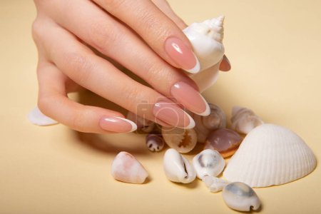 Foto de Hands with long artificial nails with french manicure holding seashells. High quality photo - Imagen libre de derechos