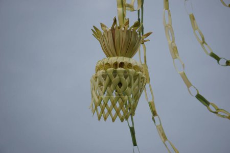 Téléchargez les photos : Yellow coconut leaves with a sky background. Indonesian called penjor (janur melengkung) - en image libre de droit
