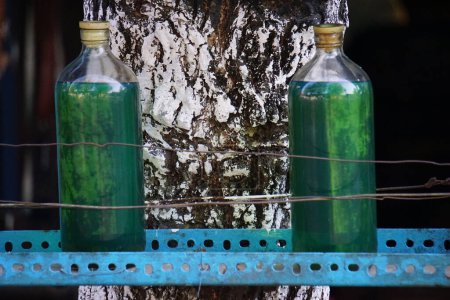 Foto de Gasolina en la botella. Tipo de gasolinera pequeña empresa en Indonesia - Imagen libre de derechos
