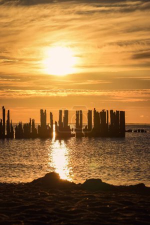 Téléchargez les photos : Belle matinée paysage balnéaire coloré. Photo prise près des ruines de la station de torpilles de Babie Doly à Gdynia, Pologne. - en image libre de droit